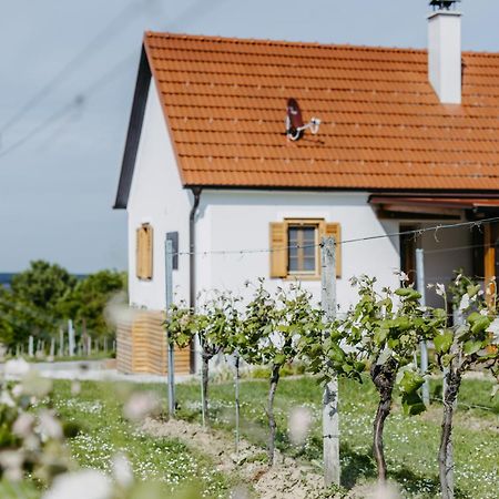 StremUrlaub Im Kellerstoeckl Dunst公寓 客房 照片