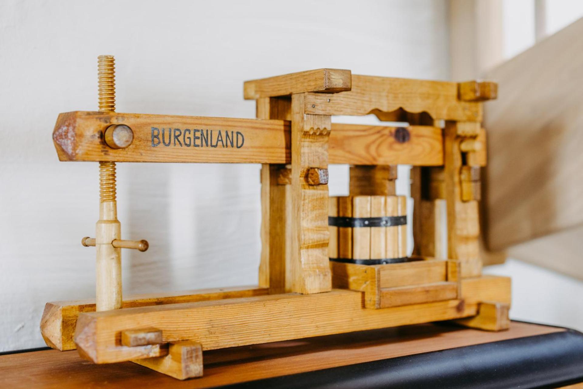 StremUrlaub Im Kellerstoeckl Dunst公寓 客房 照片